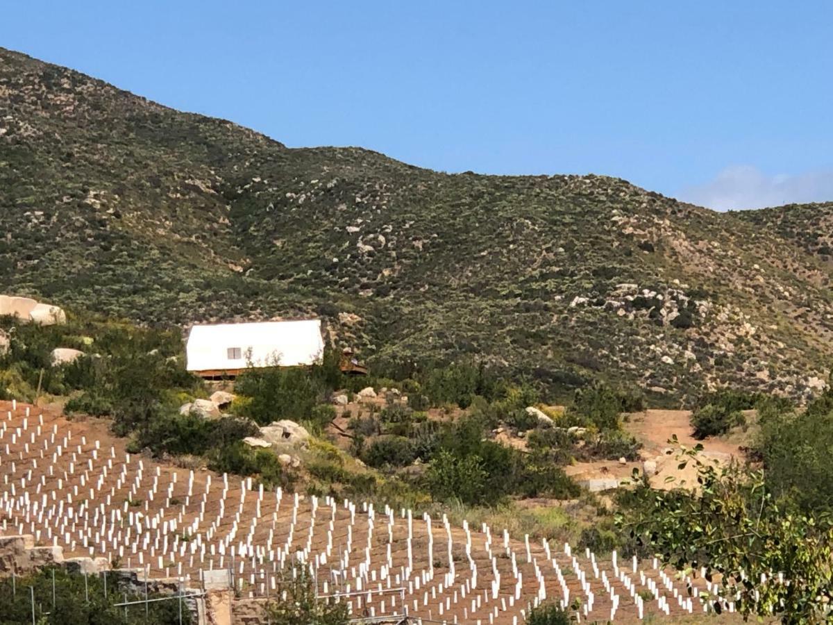 Casa Misiones Glamping Hotel Valle de Guadalupe Luaran gambar